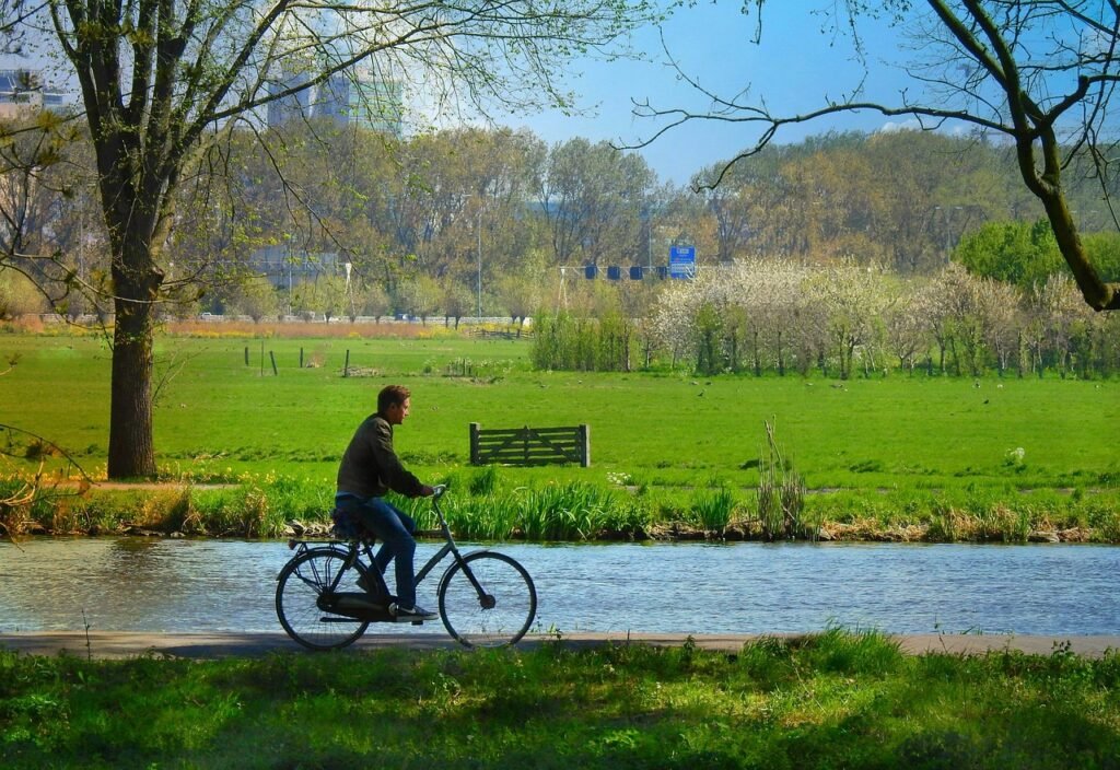 What to Do About Night Shift Depression: Recognition and Self-Care Steps 7 cyclist, bicycle ride, transport, destination, recreation, leisure, physical activity, road along the river, meadow, physical activity, physical activity, physical activity, physical activity, physical activity