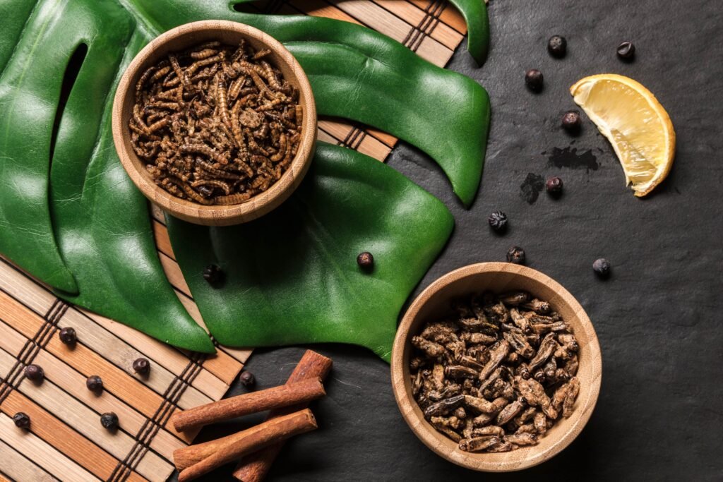 The Best Supplements for Night Shift Workers: What Actually Works and What's Just Marketing 4 asian dish monstera leaf top view 1