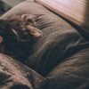 How to Fall Asleep After Night Shift: The Science-Backed Protocol That Actually Works